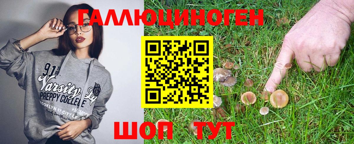 где найти наркотики  Псилоцибиновые грибы MAGIC MUSHROOMS  Вход с VPN  Железноводск 
